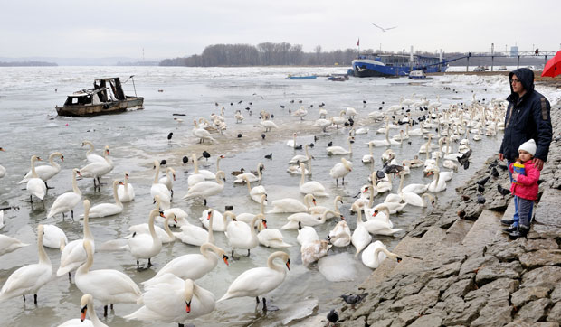 Кеј још окован ледом
